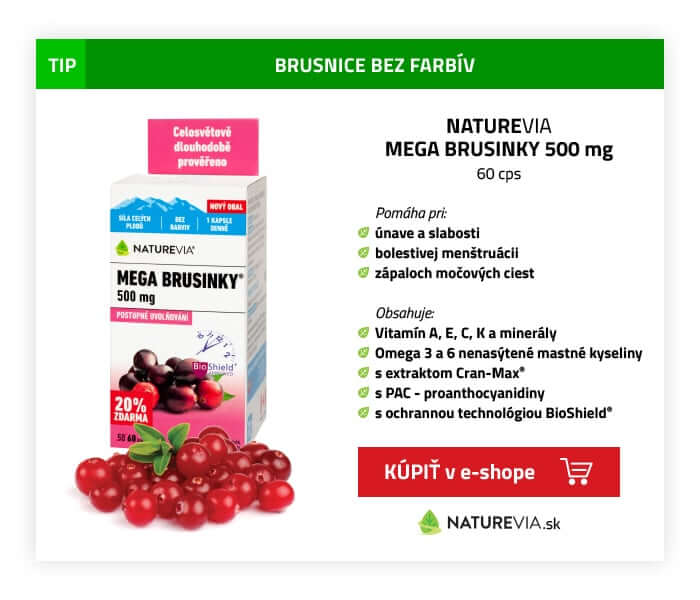 NATUREVIA MEGA BRUSNICE 500mg